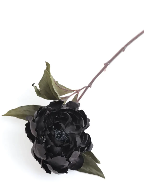 Inspire Me! Home Decor 19″ Black Peony Stem