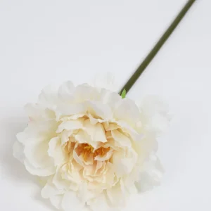 Inspire Me! Home Decor 19″ Cream Peony Stem