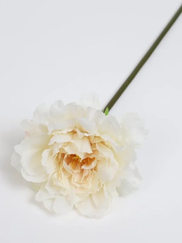 Inspire Me! Home Decor 19″ Cream Peony Stem