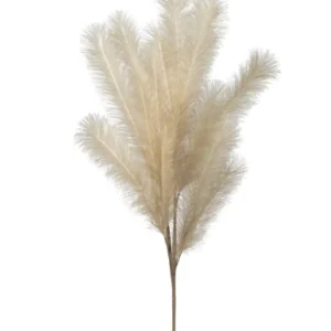 Inspire Me! Home Decor 47″ Cream Feather Pampas Stem PRE-ORDER Floral Stems