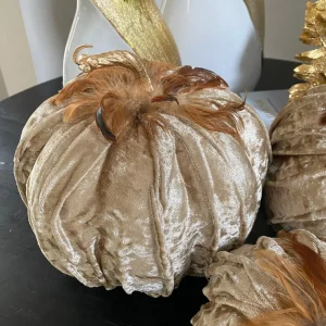 Inspire Me! Home Decor Beige Velvet Feather Pumpkins (3 Sizes) SEASONAL