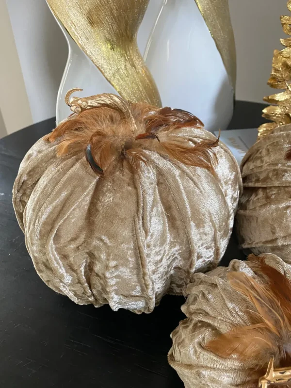 Inspire Me! Home Decor Beige Velvet Feather Pumpkins (3 Sizes) SEASONAL