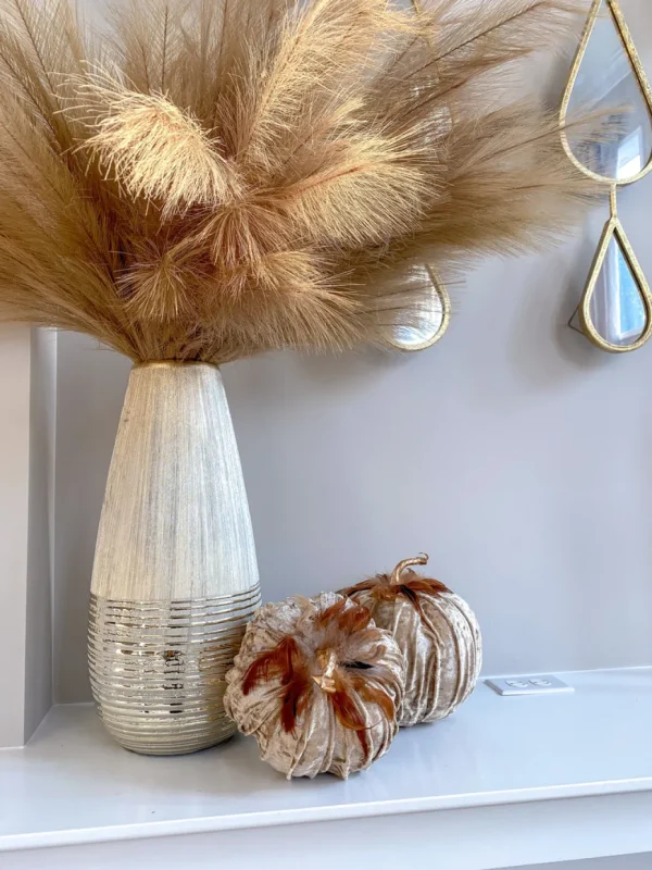 Inspire Me! Home Decor Beige Velvet Feather Pumpkins (3 Sizes) SEASONAL