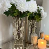 Inspire Me! Home Decor Branch Vase With Clear Glass Insert (2 Colors)