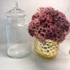 Inspire Me! Home Decor Clear Glass Apothecary Jar With Lid