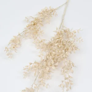 Inspire Me! Home Decor Cream Smilax Stem