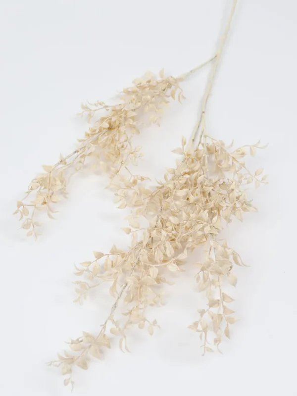 Inspire Me! Home Decor Cream Smilax Stem