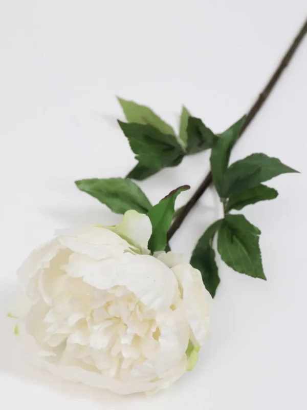 Inspire Me! Home Decor Cream Real Touch Peony Stem