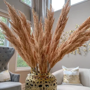 Inspire Me! Home Decor Extra Long Stem Beige Pampas Grass Stem Floral Stems