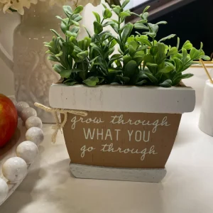 Inspire Me! Home Decor Faux Foliage Potted Inspirational Sign (3 Styles)