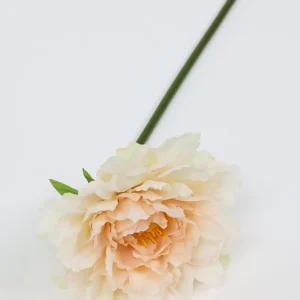 Inspire Me! Home Decor Floral Stems 19″ Soft Beige Peony Stem