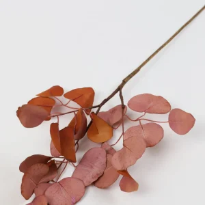 Inspire Me! Home Decor Floral Stems Beige Pink Flat Eucalyptus Stem