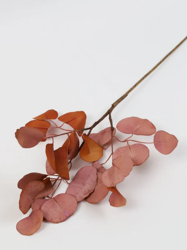 Inspire Me! Home Decor Floral Stems Beige Pink Flat Eucalyptus Stem
