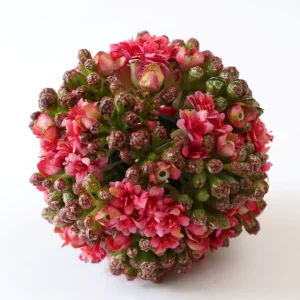 Inspire Me! Home Decor Floral Kalanchoe Orb (3 Colors)