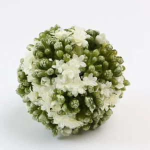 Inspire Me! Home Decor Floral Kalanchoe Orb (3 Colors)