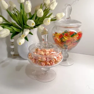 Inspire Me! Home Decor Glass Apothecary Jar With Lid (2 Sizes) Jars