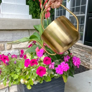 Inspire Me! Home Decor Gold Watering Can