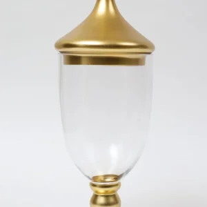 Inspire Me! Home Decor Gold Clear Glass Apothecary Jar W/ Lid (2 Colors)