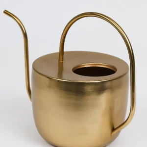 Inspire Me! Home Decor Gold Watering Can