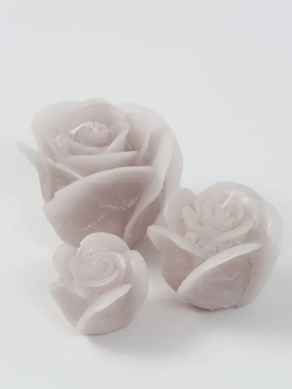 Inspire Me! Home Decor Ivory Rose Candle (3 Sizes)