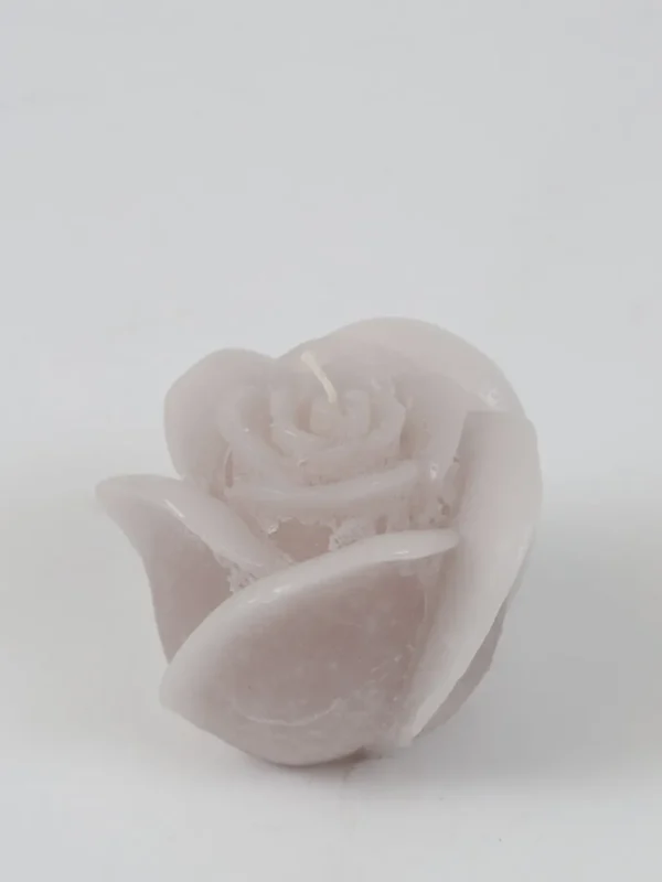 Inspire Me! Home Decor Ivory Rose Candle (3 Sizes)