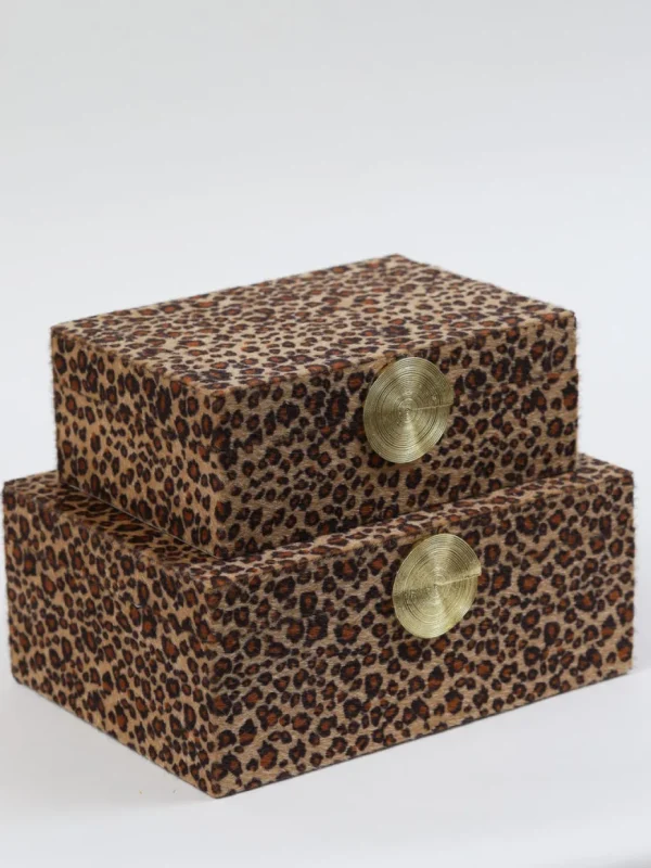 Inspire Me! Home Decor Leopard Print Boxes With Gold Medallion (Set Of 2)