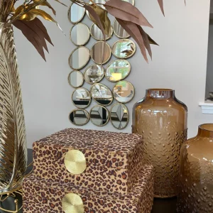 Inspire Me! Home Decor Leopard Print Boxes With Gold Medallion (Set Of 2)