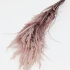 Inspire Me! Home Decor Mauve Pampa Grass Stem