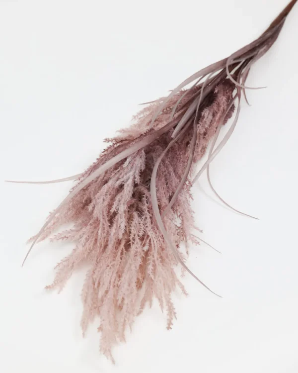 Inspire Me! Home Decor Mauve Pampa Grass Stem