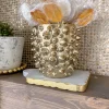 Inspire Me! Home Decor Mini Spike Planter