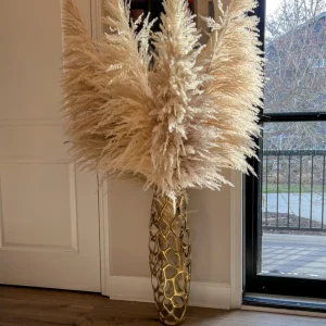 Inspire Me! Home Decor Natural Pampas Grass