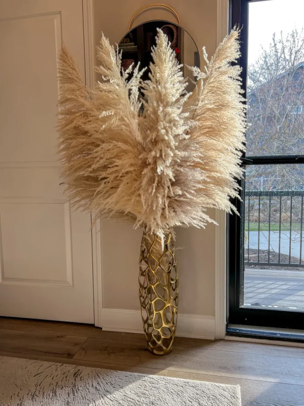 Inspire Me! Home Decor Natural Pampas Grass