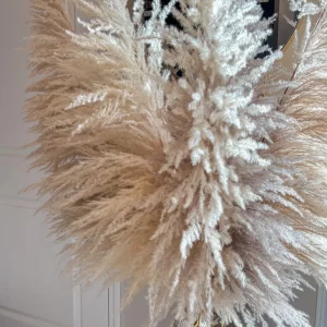 Inspire Me! Home Decor Natural Pampas Grass