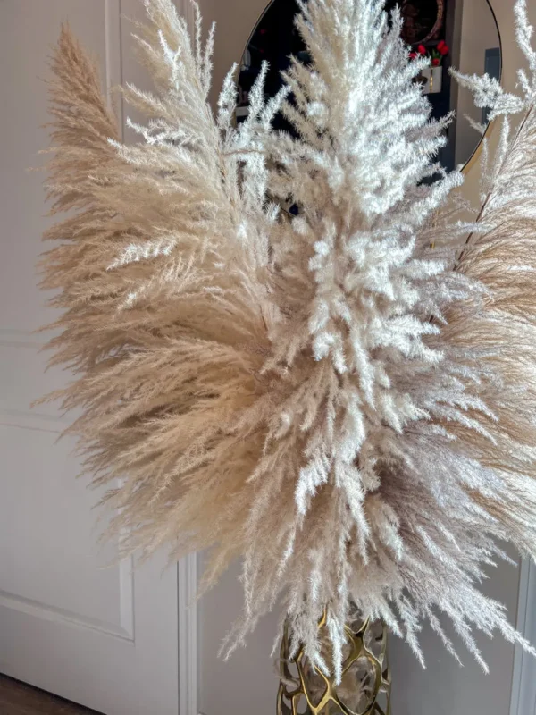 Inspire Me! Home Decor Natural Pampas Grass