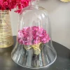 Inspire Me! Home Decor Oversized Glass Bell Cloche