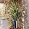 Inspire Me! Home Decor Potted Pine Tree (3 Styles)