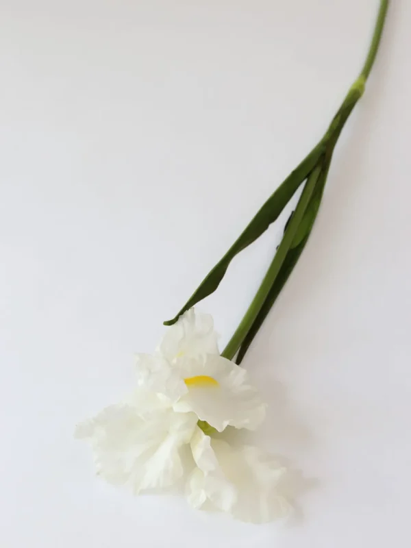 Inspire Me! Home Decor Real Touch White Iris Stem