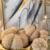 Inspire Me! Home Decor SEASONAL Beige Fringe Pumpkin (3 Sizes)