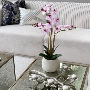 Inspire Me! Home Decor Silver Flower Branch 5 Tealight Candle Holder