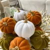 Inspire Me! Home Decor White Velvet Mini Pumpkin With Gold Stem