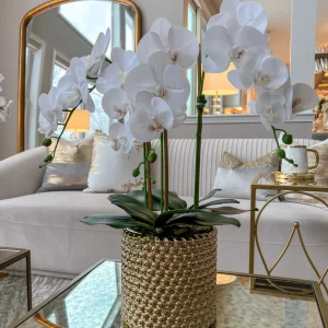 Inspire Me! Home Decor White Orchid In Gold Detailed Pot