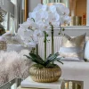 Inspire Me! Home Decor White Potted Faux Orchid Floral Stems