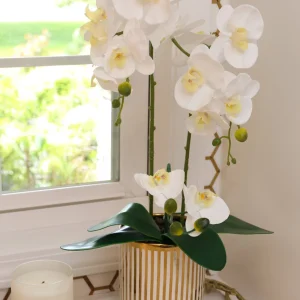 Inspire Me! Home Decor White Potted Faux Orchid In Gold And White Vase