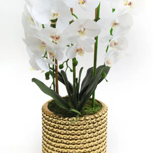 Inspire Me! Home Decor White Orchid In Gold Detailed Pot