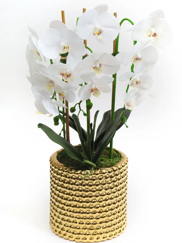 Inspire Me! Home Decor White Orchid In Gold Detailed Pot