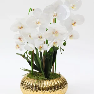 Inspire Me! Home Decor White Potted Faux Orchid Floral Stems