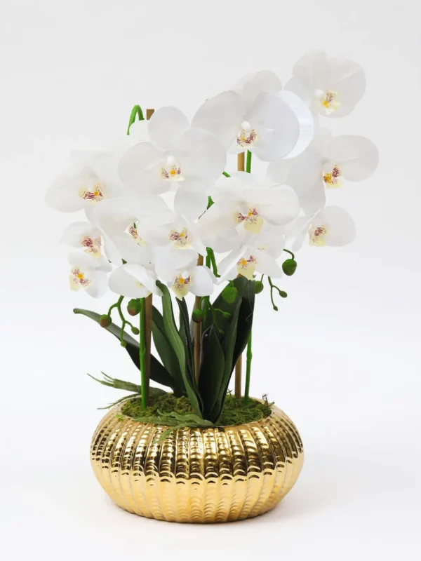 Inspire Me! Home Decor White Potted Faux Orchid Floral Stems