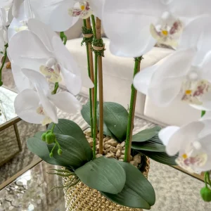 Inspire Me! Home Decor White Orchid In Gold Detailed Pot