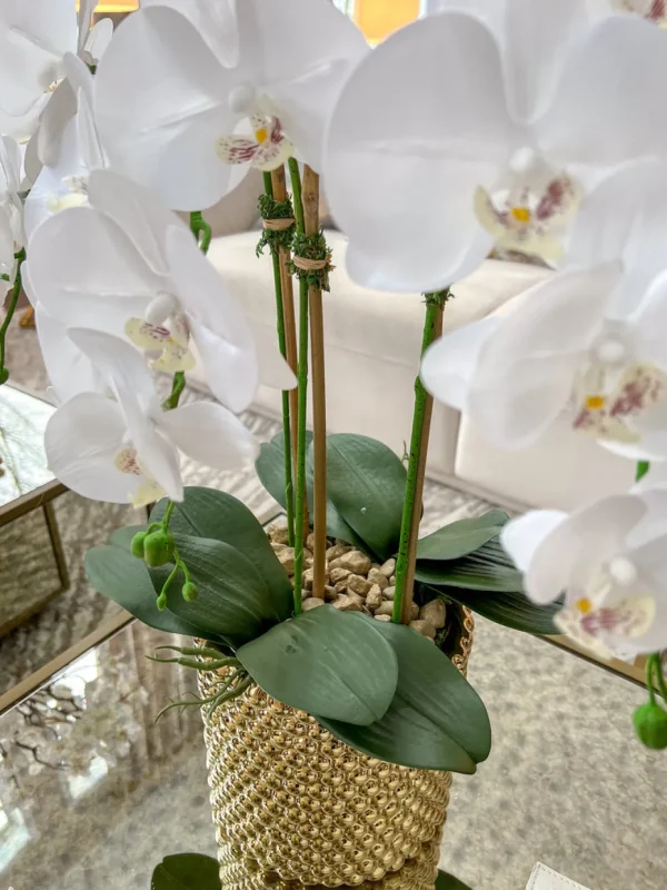 Inspire Me! Home Decor White Orchid In Gold Detailed Pot