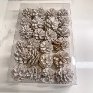 Inspire Me! Home Decor White Decorative Pinecones Box